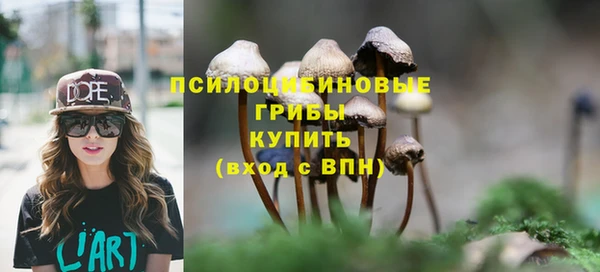 прущие крисы Вязьма