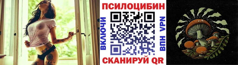 цена   Томари  Псилоцибиновые грибы ЛСД 