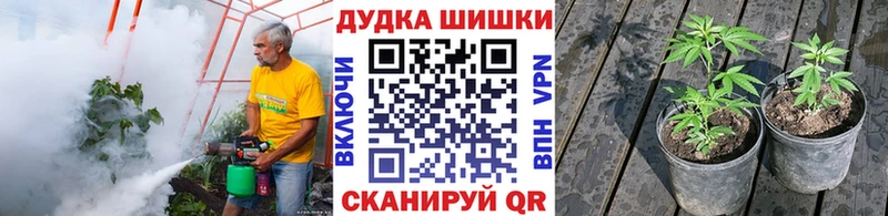 Каннабис Bruce Banner Томари